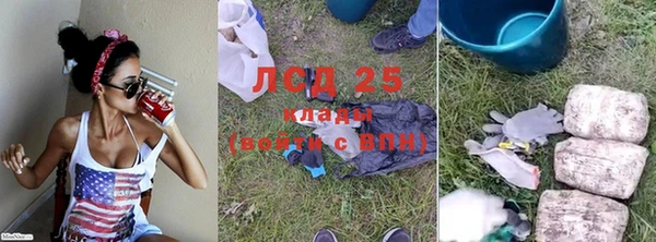 тгк Володарск