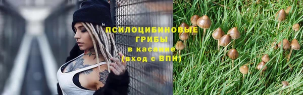 тгк Володарск