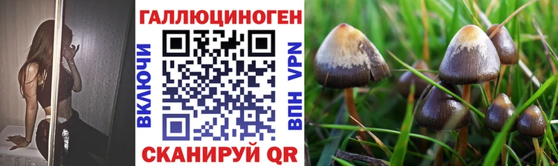 Галлюциногенные грибы Psilocybine cubensis  наркошоп  Яровое 